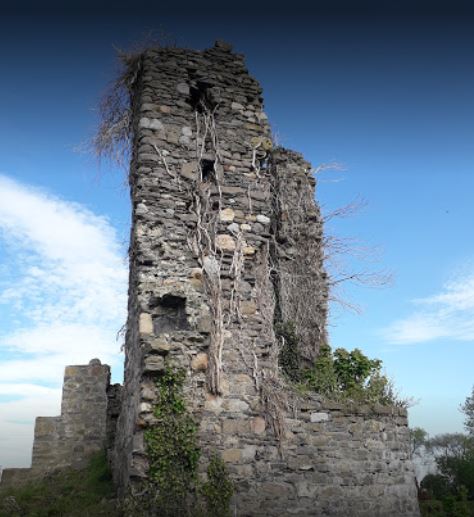 Tower-House-in-Abbey null